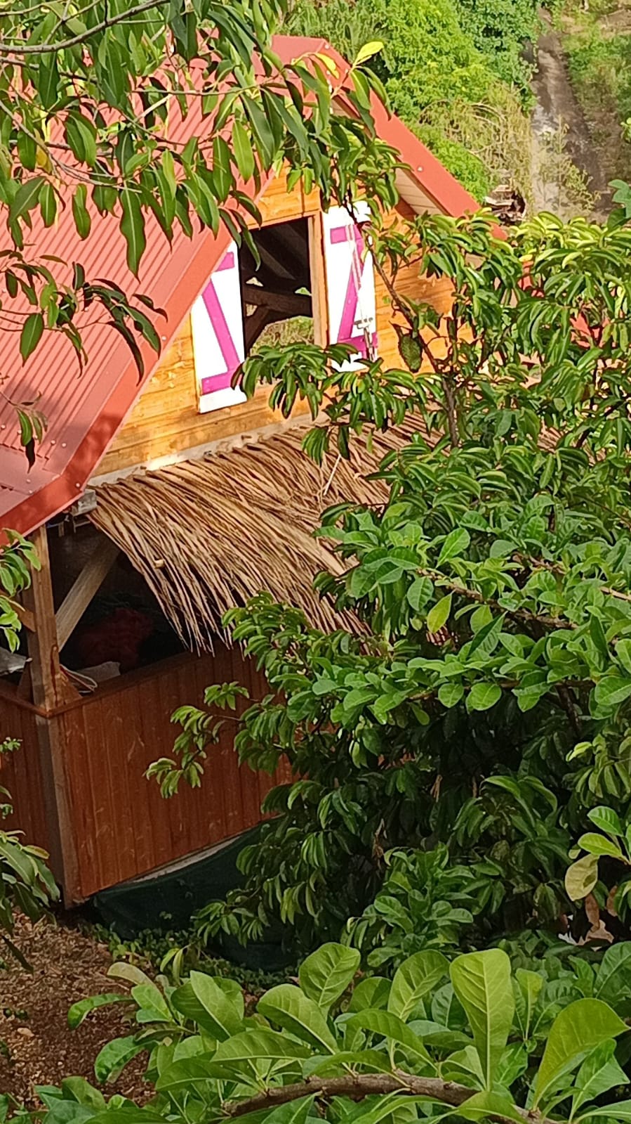 La-Guadeloupe-en-Yoga_Bungalow dans son écrin de verdure